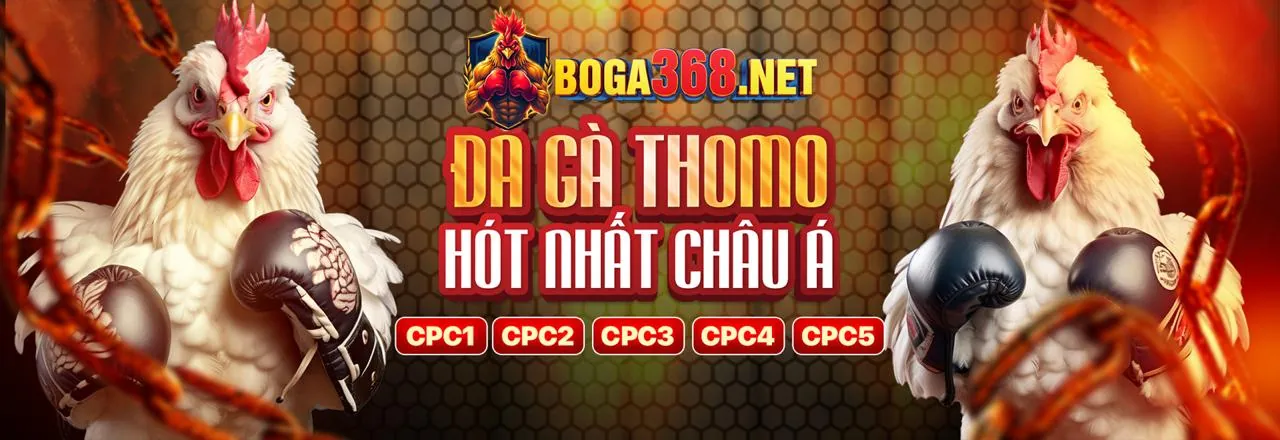 Người chơi tập trung vào chiến thuật Baccarat